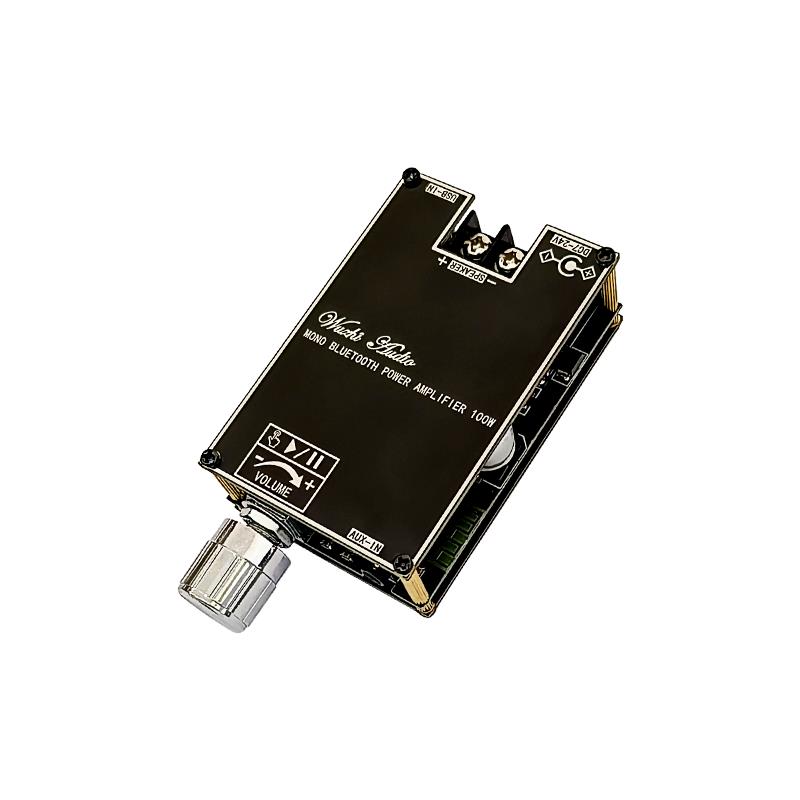 Bluetooth 5.1 TPA3116 D2 モノラル  - Home Cinema Amplifier のレビューと価格